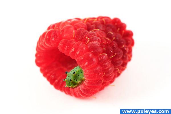 scary berry